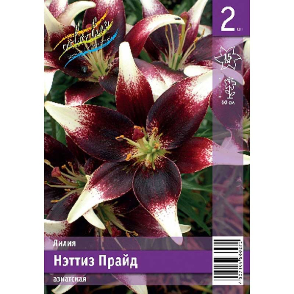 Лилия Нэттиз Прайд 12/14 2 Эконом шт 