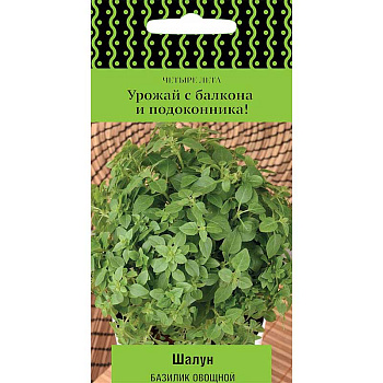 Базилик Шалун Поиск Ц