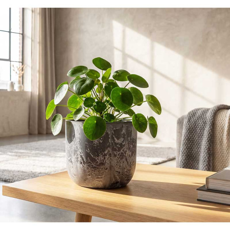 Кашпо МИКРИТ D220мм 3,7л со вставкой серый слайн М3266 х8 