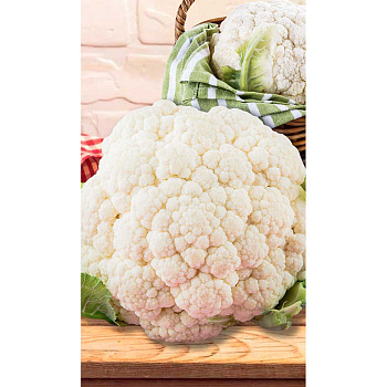 Капуста цветная Барбара F1 10шт Greenomica/Садовита Ц