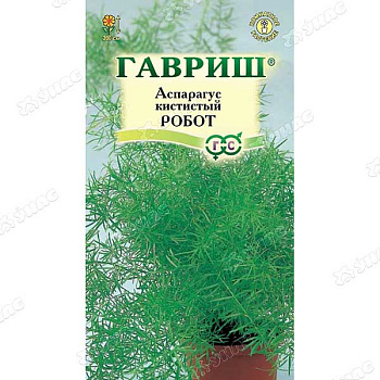 КОМ Аспарагус Робот кистистый Гавриш Ц 