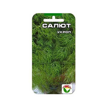 Укроп Салют СибСад Ц