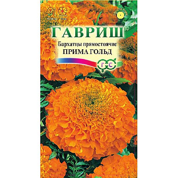Бархатцы Прима Голд Гавриш Ц 