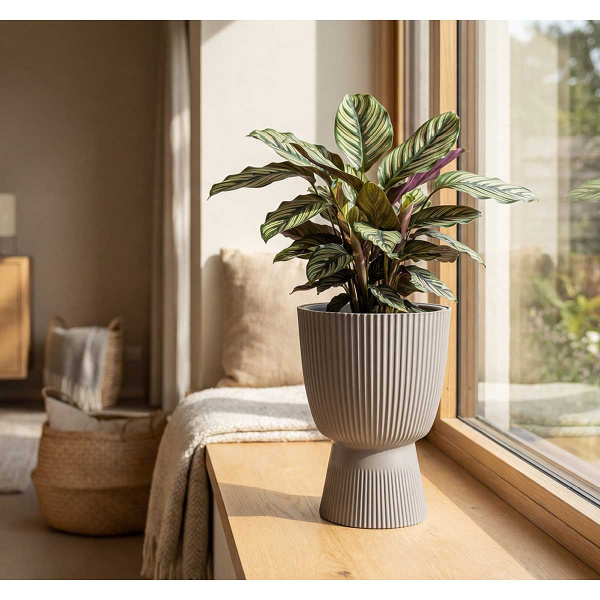 Кашпо ВЕЛЬВЕТ D180мм 1,9л со вставкой французcкий серый М3269 х8 