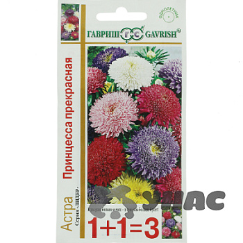 Астра Принцесса прекрасная 1+1 Гавриш Ц 