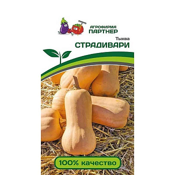 Тыква Страдивари Партнер Ц