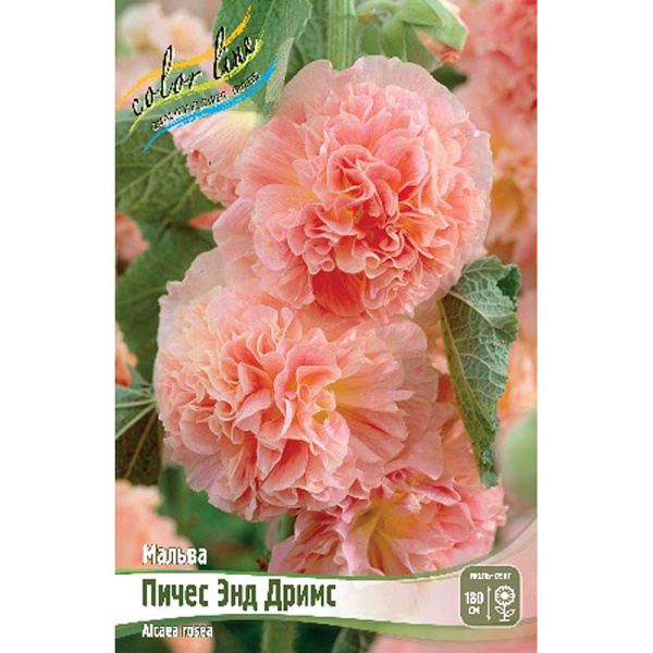 8516 Биг-Пак Мальва Пичес Энд Дримс I 25 шт