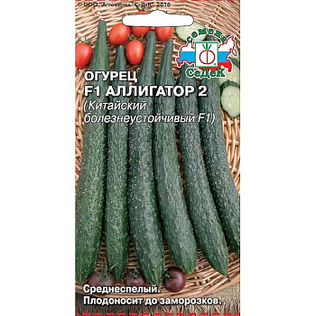 Огурец Аллигатор 2 Седек Ц