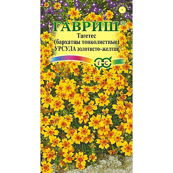 Бархатцы Урсула золотисто-желтая Гавриш Ц 