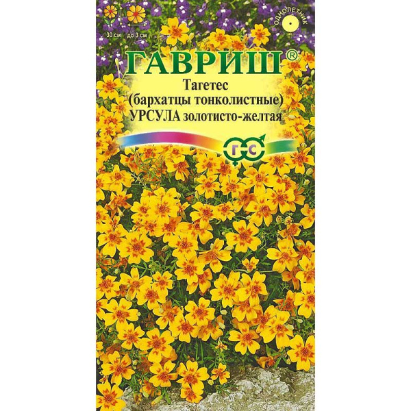 Бархатцы Урсула золотисто-желтая Гавриш Ц 