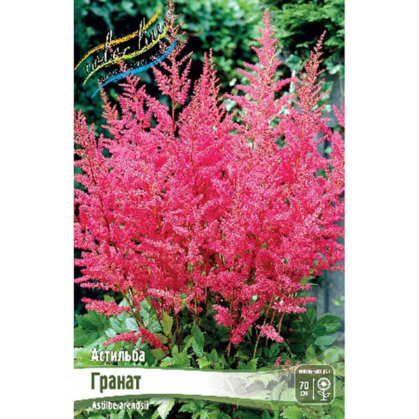 Астильба Гранат 2/3 n 25 шт Биг-пак 6839