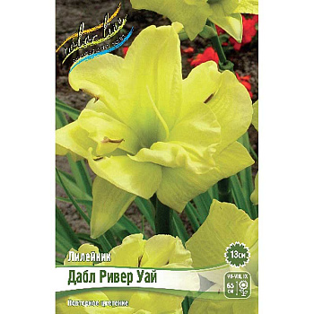 Лилейник Дабл Ривер Уай I 25 шт Биг-пак 7864