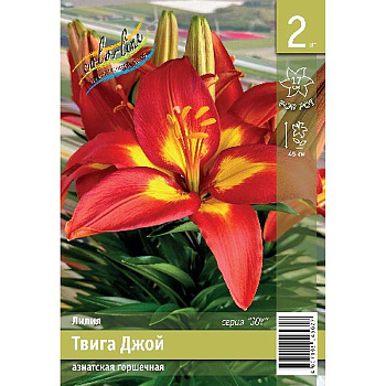 Лилия Фэншуй 10/12 2 Эконом шт 