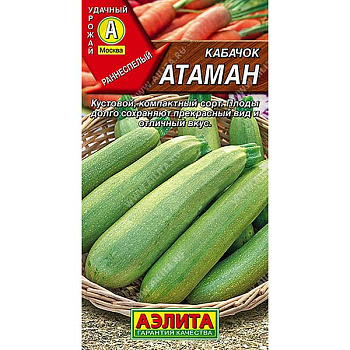 Кабачок Атаман цукини Аэлита Ц