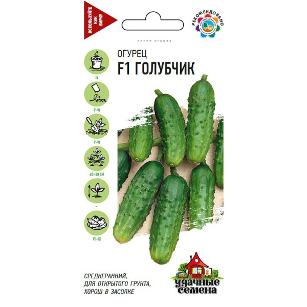 Огурец Голубчик Удачные Семена Гавриш Ц