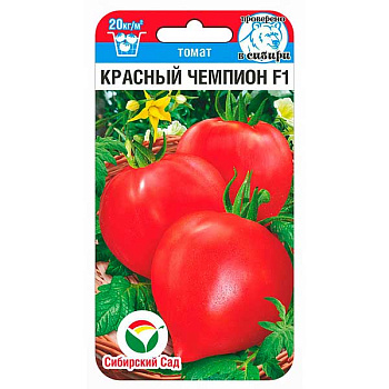 Томат Красный чемпион СибСад