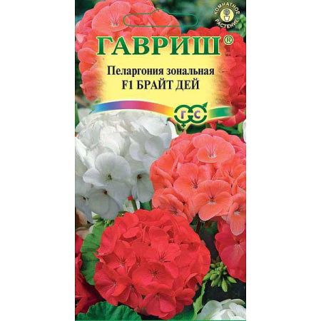 КОМ Пеларгония Брайт дей Гавриш Ц 
