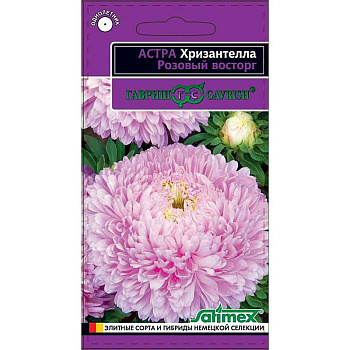 Астра Хризантелла Розовый восторг Гавриш Ц 