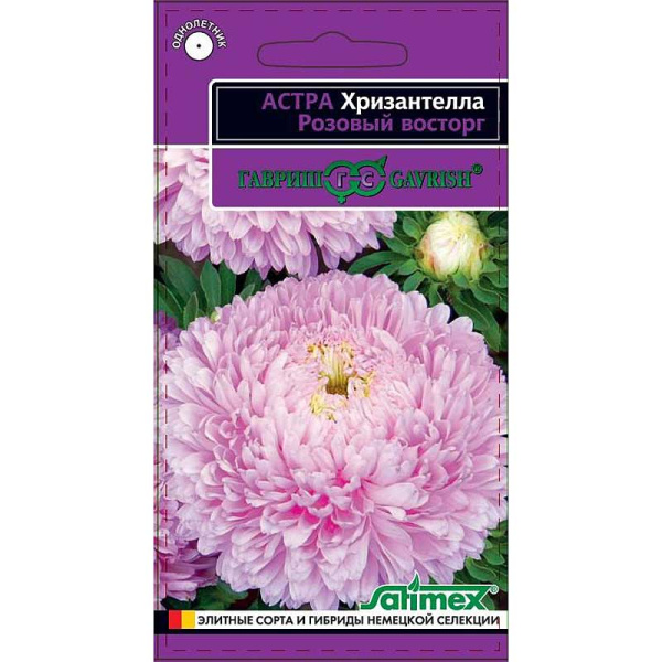 Астра Хризантелла Розовый восторг Гавриш Ц 