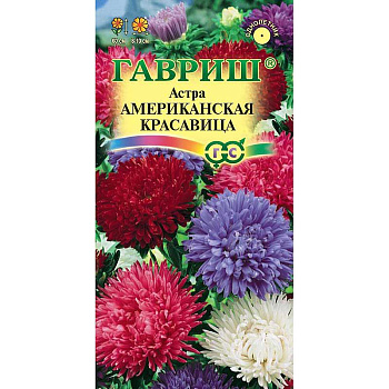 Астра Американская красавица смесь Гавриш Ц 