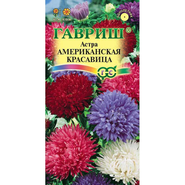 Астра Американская красавица смесь Гавриш Ц 
