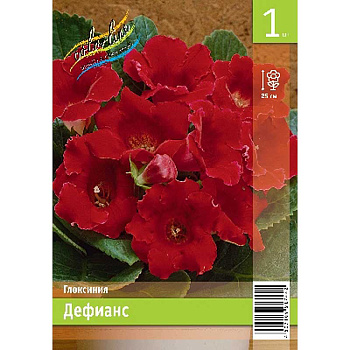 Глоксиния Дефианс 5/6 1 Эконом шт