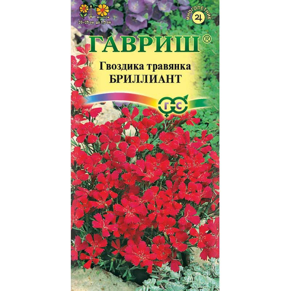 Гвоздика травянка Бриллиант Гавриш Ц 