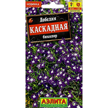 Лилия Фантом Джой 11/12 7 шт 