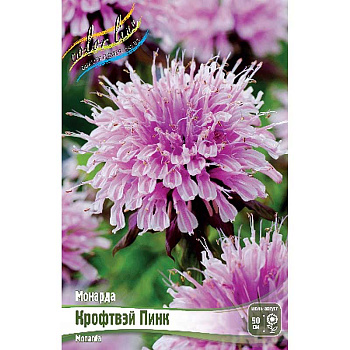 Монарда Крофтвэй Пинк I 1 шт