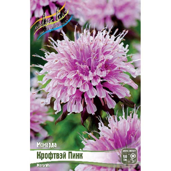 Монарда Крофтвэй Пинк I 1 шт
