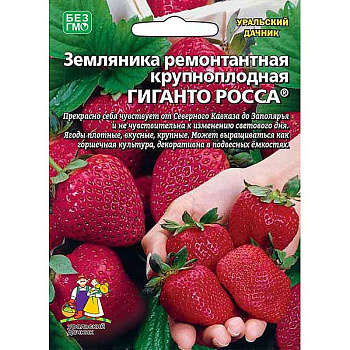 Земляника Гиганто Росса Марс Ц Земляника Гиганто Росса Марс Ц