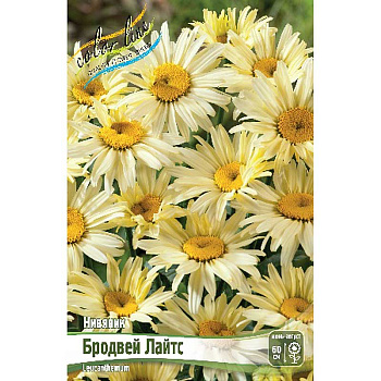 Нивяник Бродвей Лайтс I 1 шт