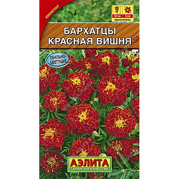 Бархатцы Красная вишня отклоненные  Аэлита Ц 
