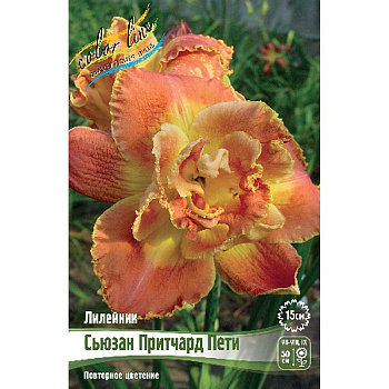Лилейник Сьюзан Притчард Пети I 25 шт Биг-пак 7883