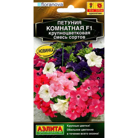 Петуния Комнатная Аэлита Ц 