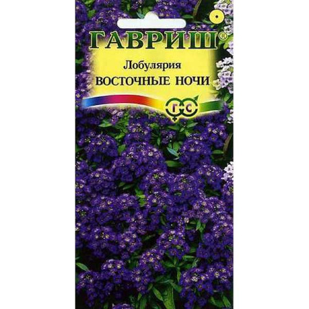 Лобулярия Восточные ночи Сад ароматов Гавриш Ц 