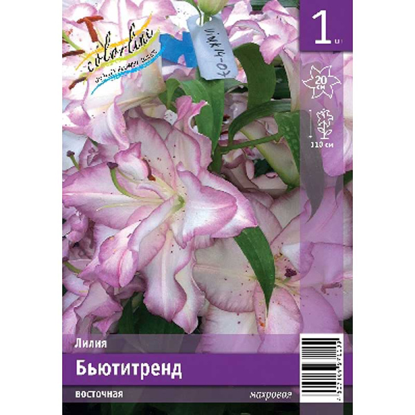 Лилия Бьютитренд 14/16 1 Эконом шт