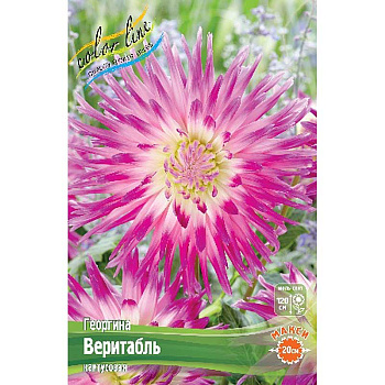 9123 Шоу-Бокс Георгина Веритабль 15 шт