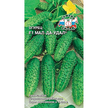 Огурец Мал-Да-Удал Седек Ц