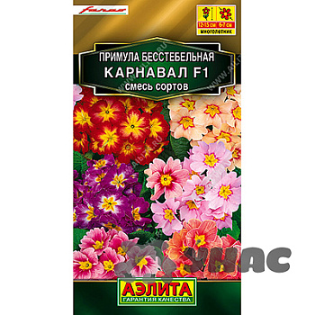 Примула Карнавал Аэлита Ц 