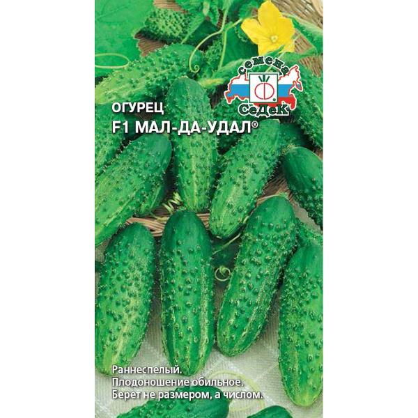 Огурец Мал-Да-Удал Седек Ц