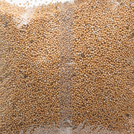 Сидерат Горчица желтая 1кг Садовита