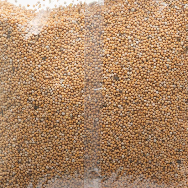 Сидерат Горчица желтая 1кг Садовита