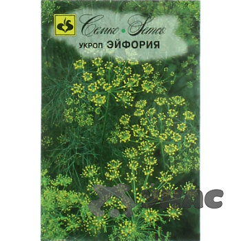 Укроп Эйфория Семко Ц