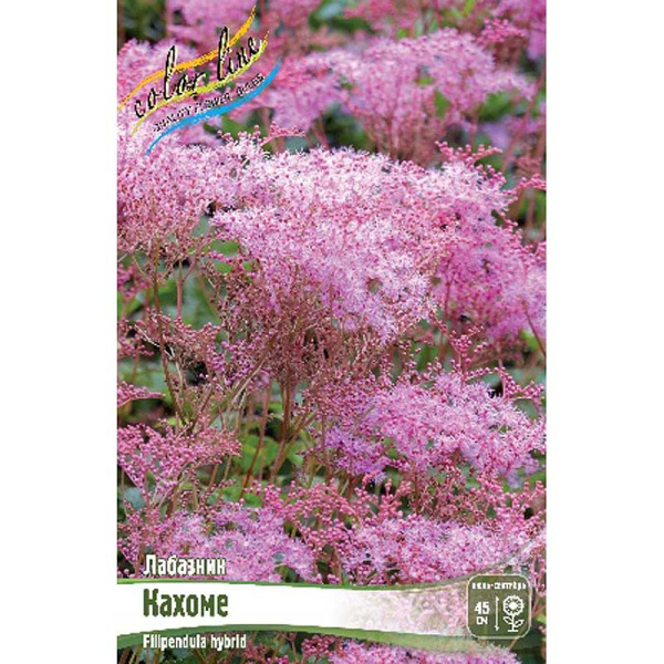 9952 Биг-Пак Лабазник Кахоме I 25 шт