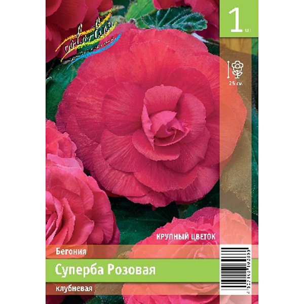 Бегония Суперба Розовая 4/5 1 Эконом шт 