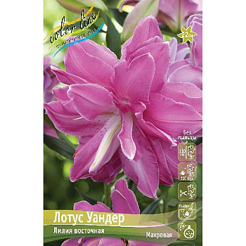 Лилия Лотус Уандер 16/18 25 шт Биг-Пак 13778