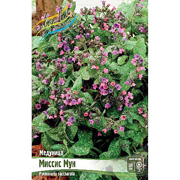 3211 Биг-Пак Медуница Миссис Мун 2/3 n 25 шт 