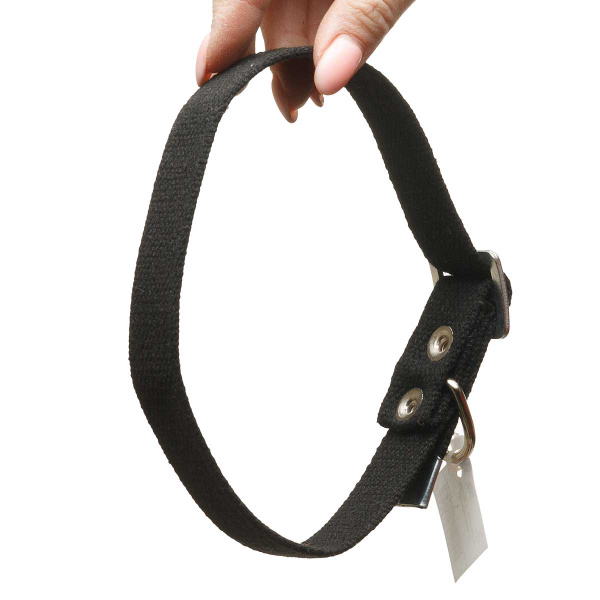 Ошейник брезент ширина 25 мм безразмерный 50 см