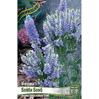 8348 Биг-Пак Вероника Бейби Бомб I 25 шт